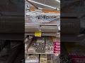 【切り抜き】うみ に お買い得な爪とぎ 買ってみた。【猫知識0】 #愛猫 #元保護猫 #猫 #子猫 #爪とぎ