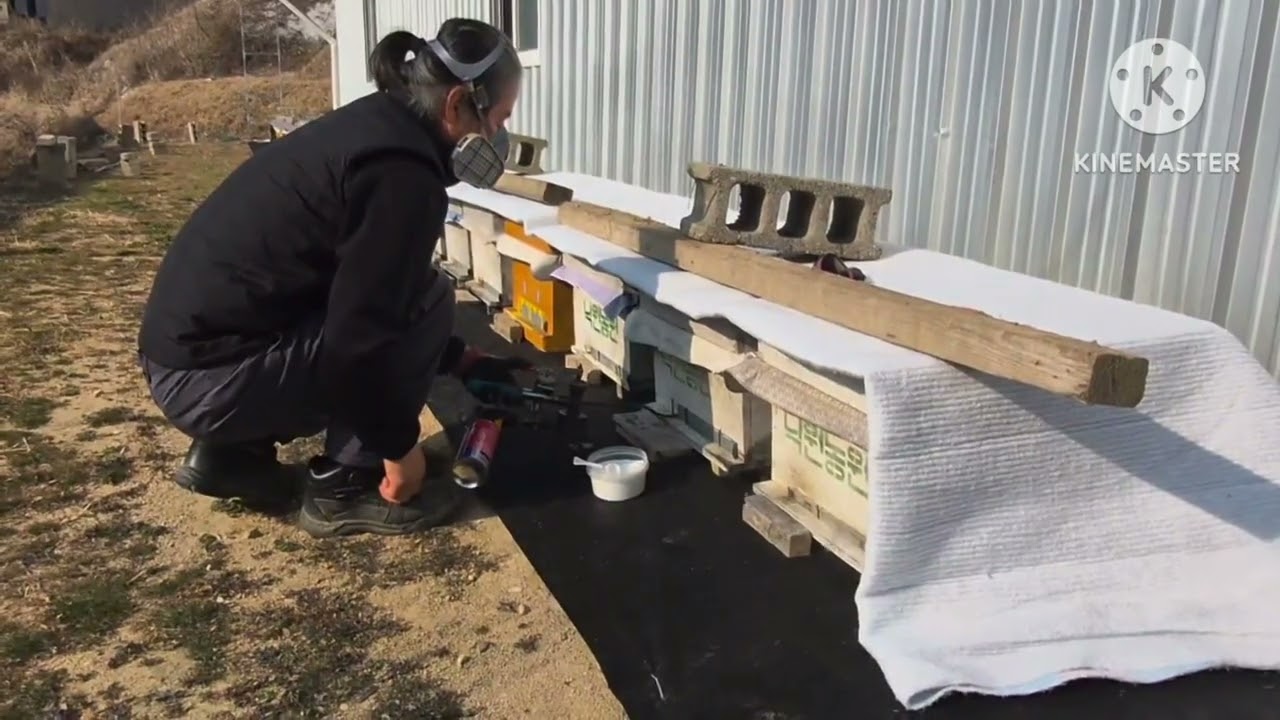 2026년1월4일 옥살산 훈증  봉판 없는 완벽한 방제 시기 