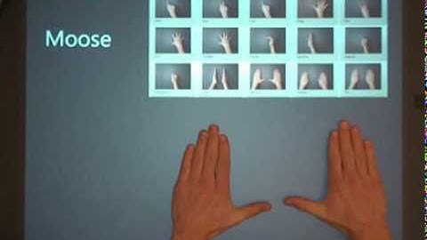 ShadowGuides: Visualizations for In-Situ Learning of Multi-Touch and Whole-Hand Gestures