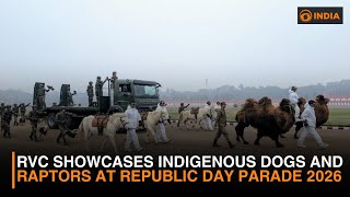 Indian Dog Breeds, Raptors Make Historic Debut With Rvc At Republic Day Parade
