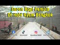 Saran bagi pemula di hobi ayam bangkok