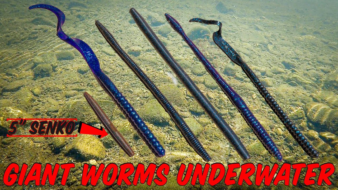 How Magnum Plastic Worms Actually Look Underwater! Underwater