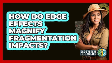 How Do Edge Effects Magnify Fragmentation Impacts?