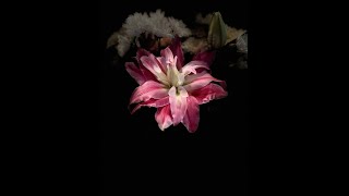 Henry Luna Jr's Memorial Video