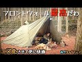 ソロティピー1tcにフロントウォール装着!これは…。【火打の森キャンプ場】