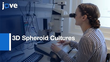 3D Spheroid Cultures of Cancer Cells Cell Viability Assessment | Protocol Preview