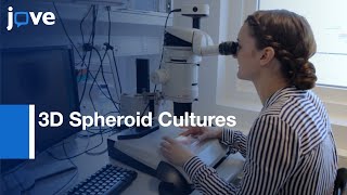 3D Spheroid Cultures of Cancer Cells Cell Viability Assessment | Protocol Preview