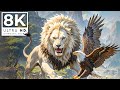 MAJESTIC WILDLIFE WONDER 8K ULTRA HD 60FPS | with Cinematic Sound (Colorful Animal Life)