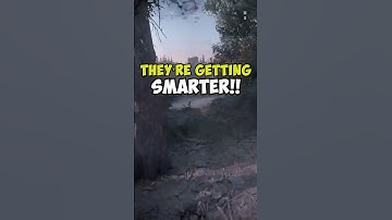 I tried to tell him... but it was too late #shorts #huntshowdown #gaming