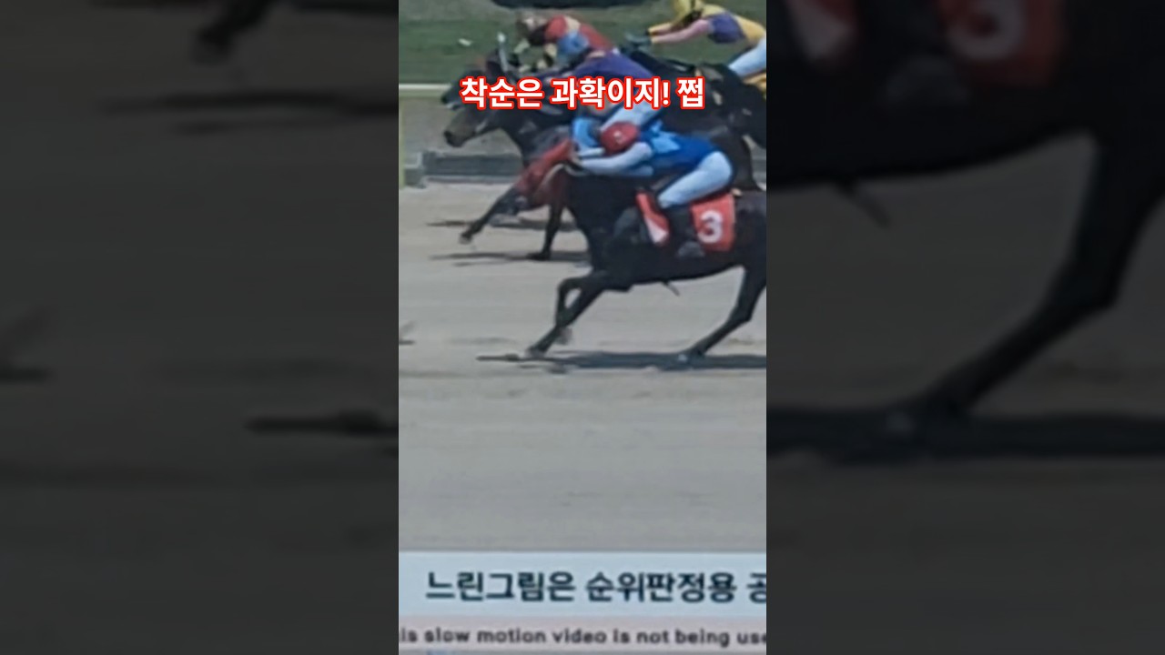 바로 인정합니다!#경마#말 #달려라말 #shorts