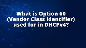 What is Option 60 (Vendor Class Identifier) used for in DHCPv4?