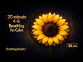 20‑Minute 4-6 Breathing for Calm