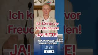 AfD will FÜR ALLE Steuern senken!!!