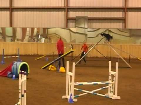Regan Std 20090315