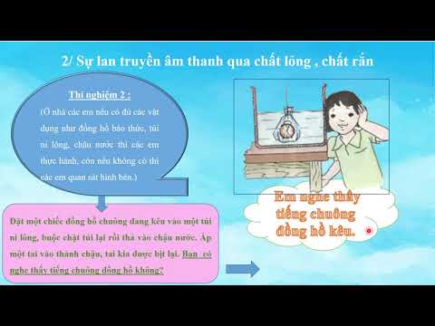 Tuần 21 - Khoa học - Bài 42