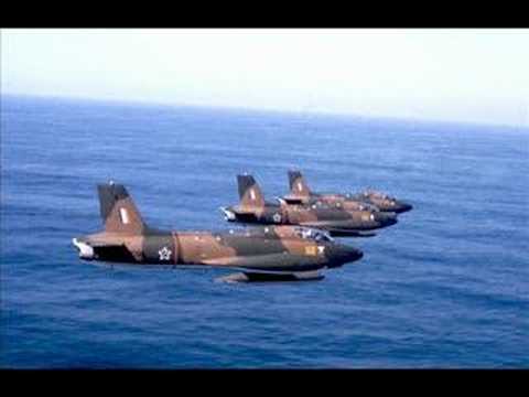 the south african air force