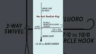 My Bull Redfish Fishing Rig Setup!  🎣💪 #shorts #fishingequipment #fishingisacontactsport