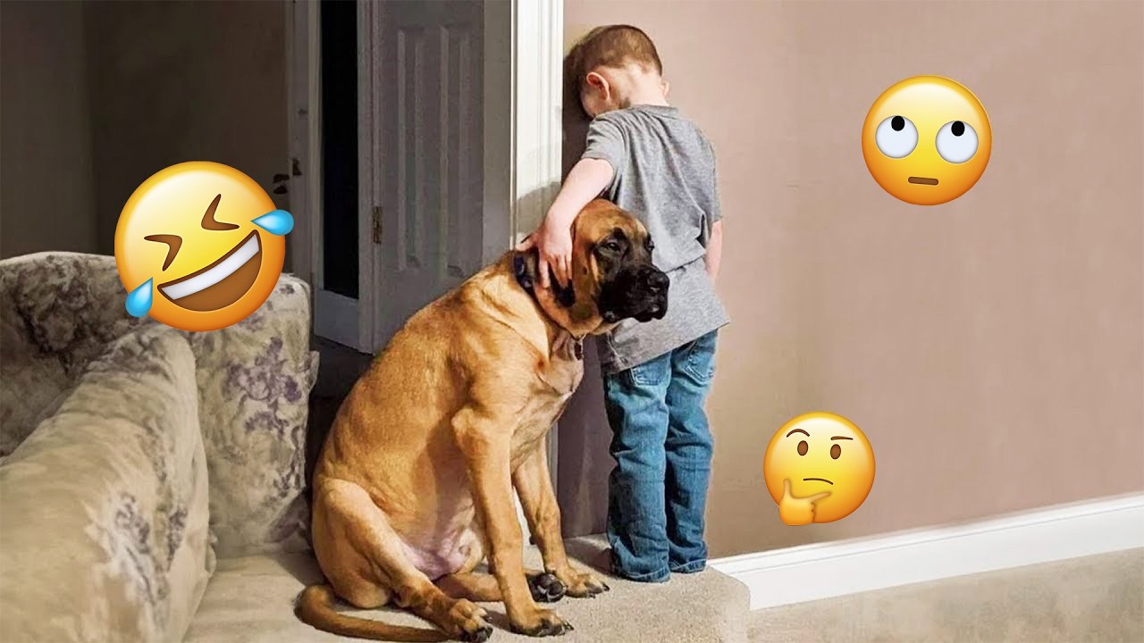 You Will Laugh Harder Than You Expect 🤣 FUNNIEST DOGS Video 2026