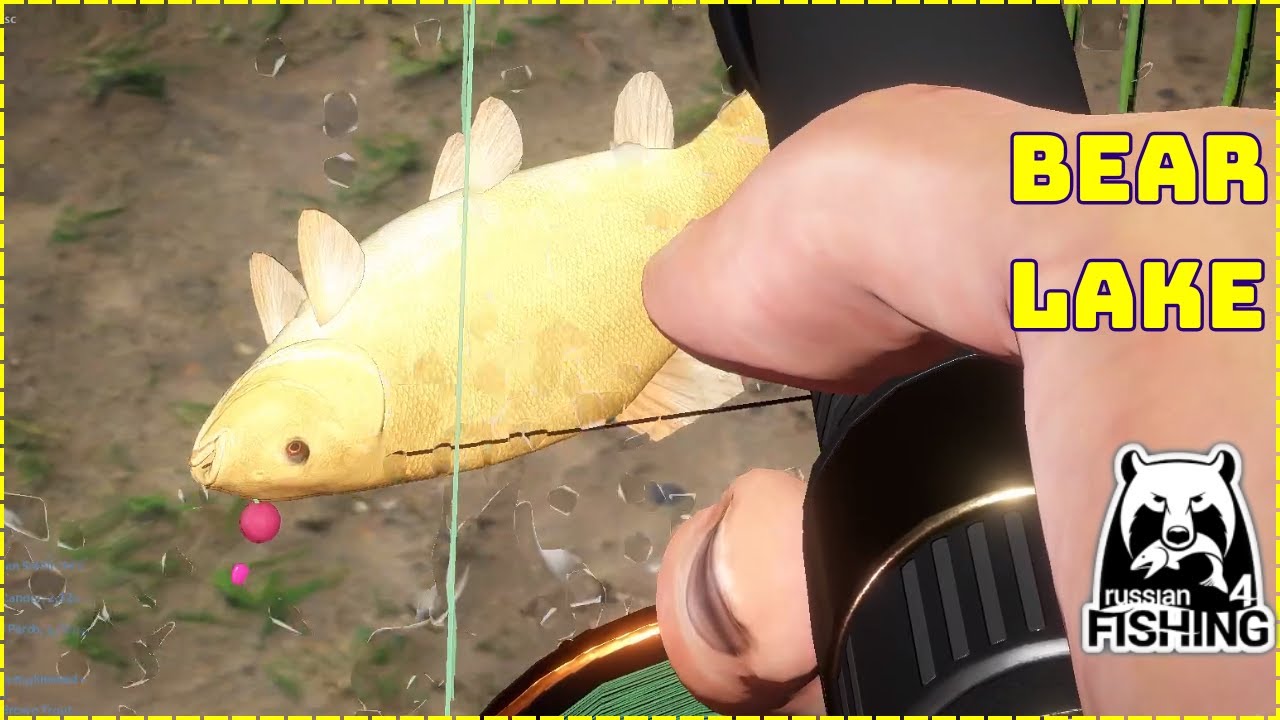Gold Tench & Black Carp "normal test"  Bear Lake (155) | Russian Fishing 4