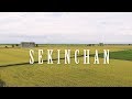 Sekinchan Rice Field  |  Cinematic