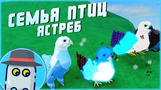 🐦ЯСТРЕБ🐤(ОБНОВЛЕНИЕ, 2022) 🦅СЕМЬЯ ПТИЦ 🦆РОБЛОКС 🐤HAWK🐦FEATHER FAMILY 🦅UPDATE 2022🦆ROBLOX🐤