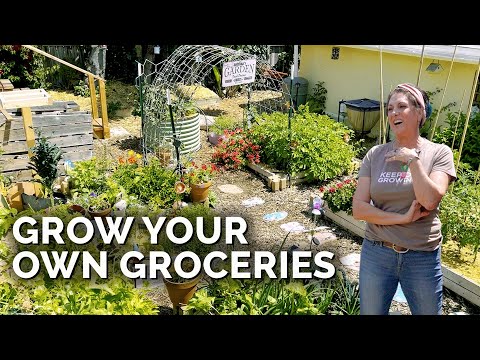 Video: Beneficiile unei grădini suburbane în curte - Know How în grădinărit