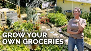 She Grows 80% Of Her Produce For a Family of 5 🏡 | Suburban Garden Tour screenshot 4