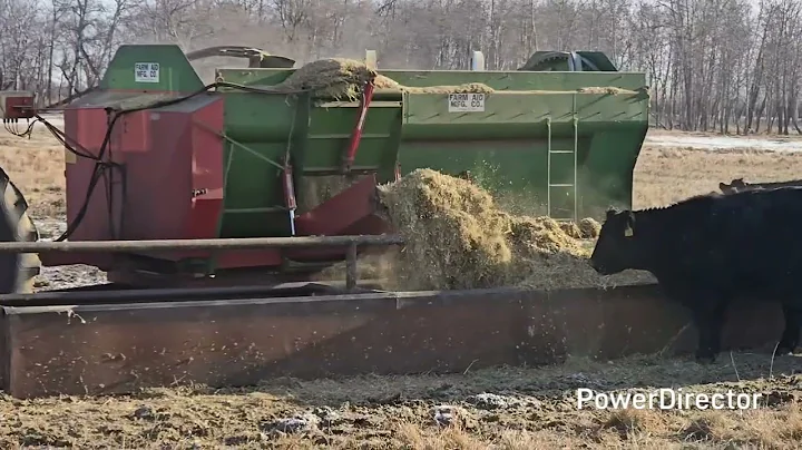 Farm Aid 430 Mix Wagon, Let's Check It Out 