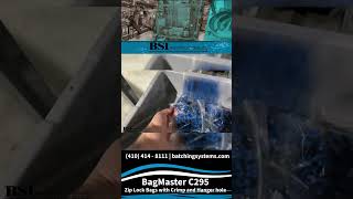 BagMaster C295 Zip Lock Bags with Crimp and Hanger hole