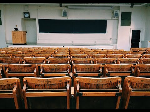 Ф.19+ Какое образование нужно айтишнику? P.S.