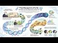 Nature's Clock - The Ecology Book