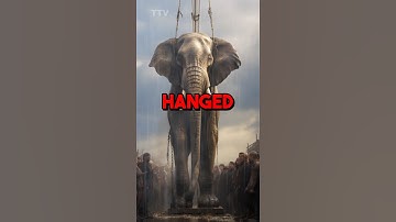 Crazy History Facts You Won