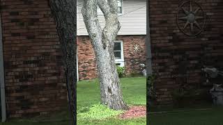 IMG 4415