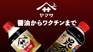 【醤油を作り続けて300年】ヤマサ醤油の歴史