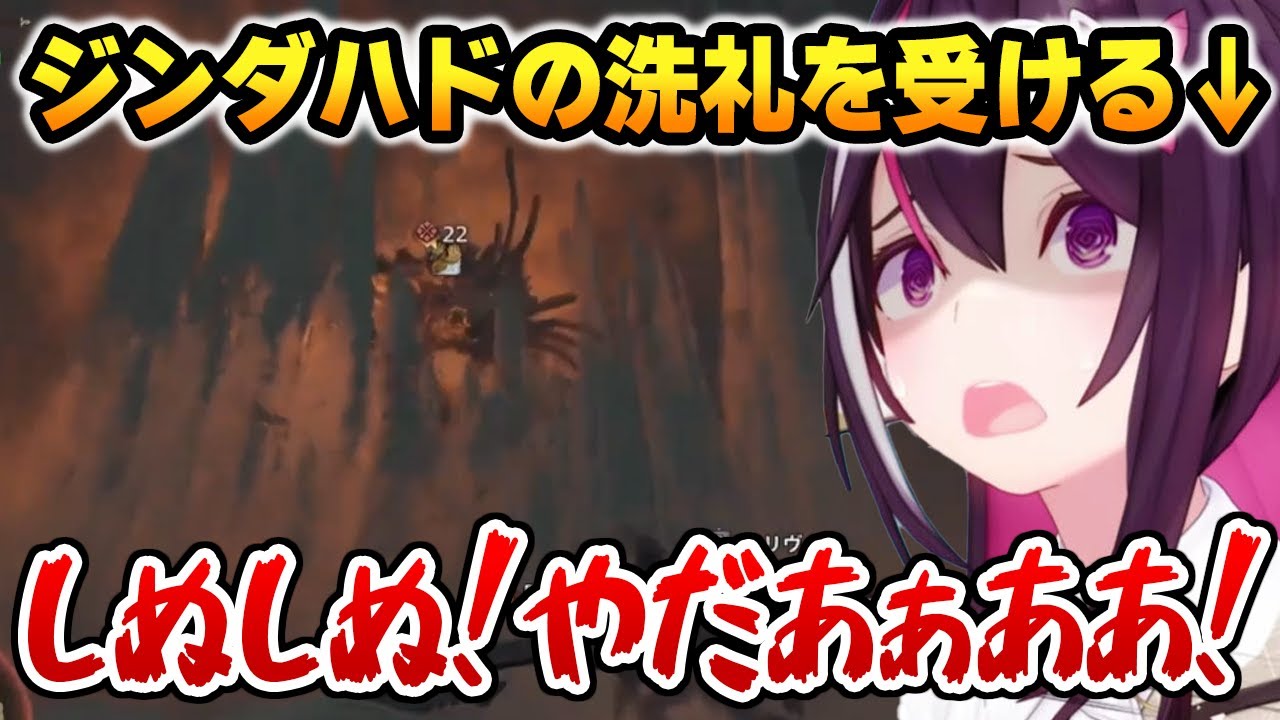 【モンハン４日目】ジンダハドの洗礼を受けるあずきち【ホロライブ】※ネタバレあり