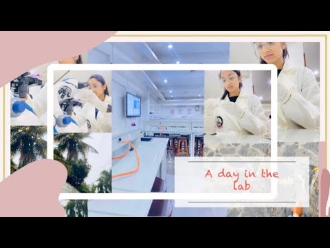 A day in the lab | uni life | my first vlog | - YouTube