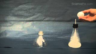 Famous Hydrogen Egg Bomb Wealth