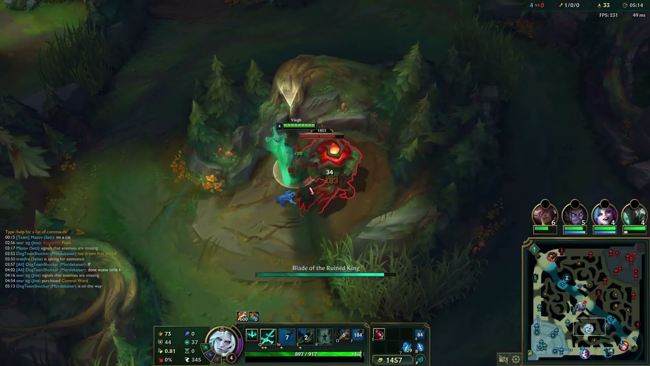 Viego Jungle = Freelo