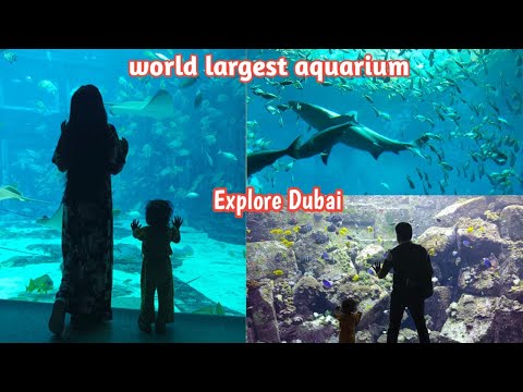The Lost chamber aquarium|| Dubai ||
