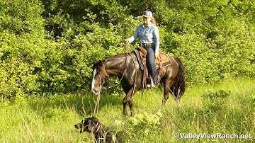Rocky***For info, price, etc., go to our website: ValleyViewRanch.net***
