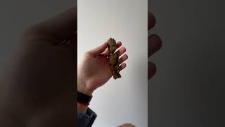 Baby Groot 3D Printed