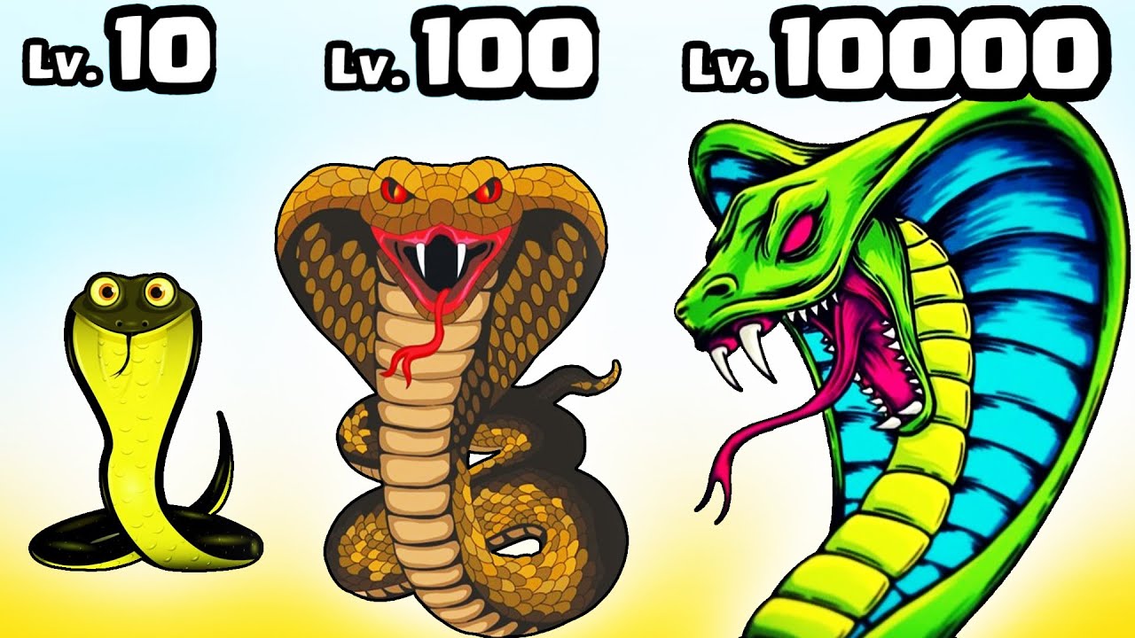 Snake Evolution Run 3D - Level Up Snake Max Level Gameplay - YouTube