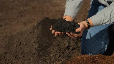 How to Help Soil Drain : Garden Savvy