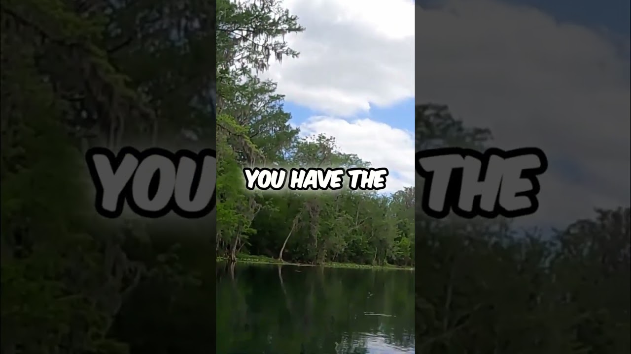 Serene Kayaking Adventure Spotting Wildlife #shorts