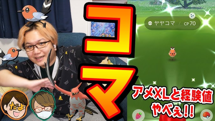うんめぇぇぇ ヤヤコマコミュニティデイでファイアロー厳選しつつ色違い数勝負 今年は一味違うぞぉ ポケモンgo Youtube うんめぇぇぇ ヤヤコマコミュニティデイでファイアロー厳選しつつ色違い数勝負 今年は一味違うぞぉ ポケモンgo Youtube