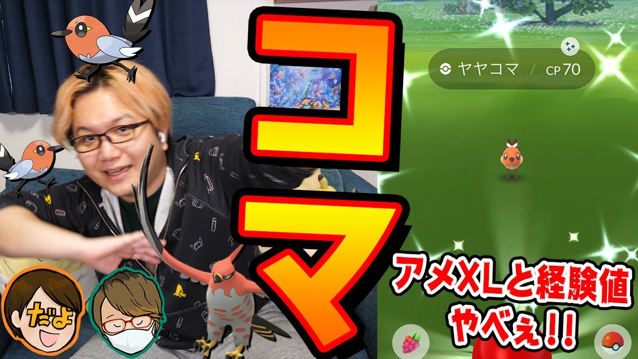 うんめぇぇぇ ヤヤコマコミュニティデイでファイアロー厳選しつつ色違い数勝負 今年は一味違うぞぉ ポケモンgo Youtube