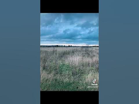 A walk around the quarry #exercise YouTube A walk around the quarry #exercise YouTube