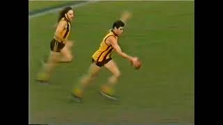 Hawthorn VS North Melbourne 1992 Dermott Brereton John Platten Net Worth