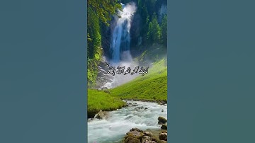 #القارئ سعد الغامدي #اذكرالله #اكسبلور #المصحف #دويتو #راحة_نفسية #لايك #حالات_واتس