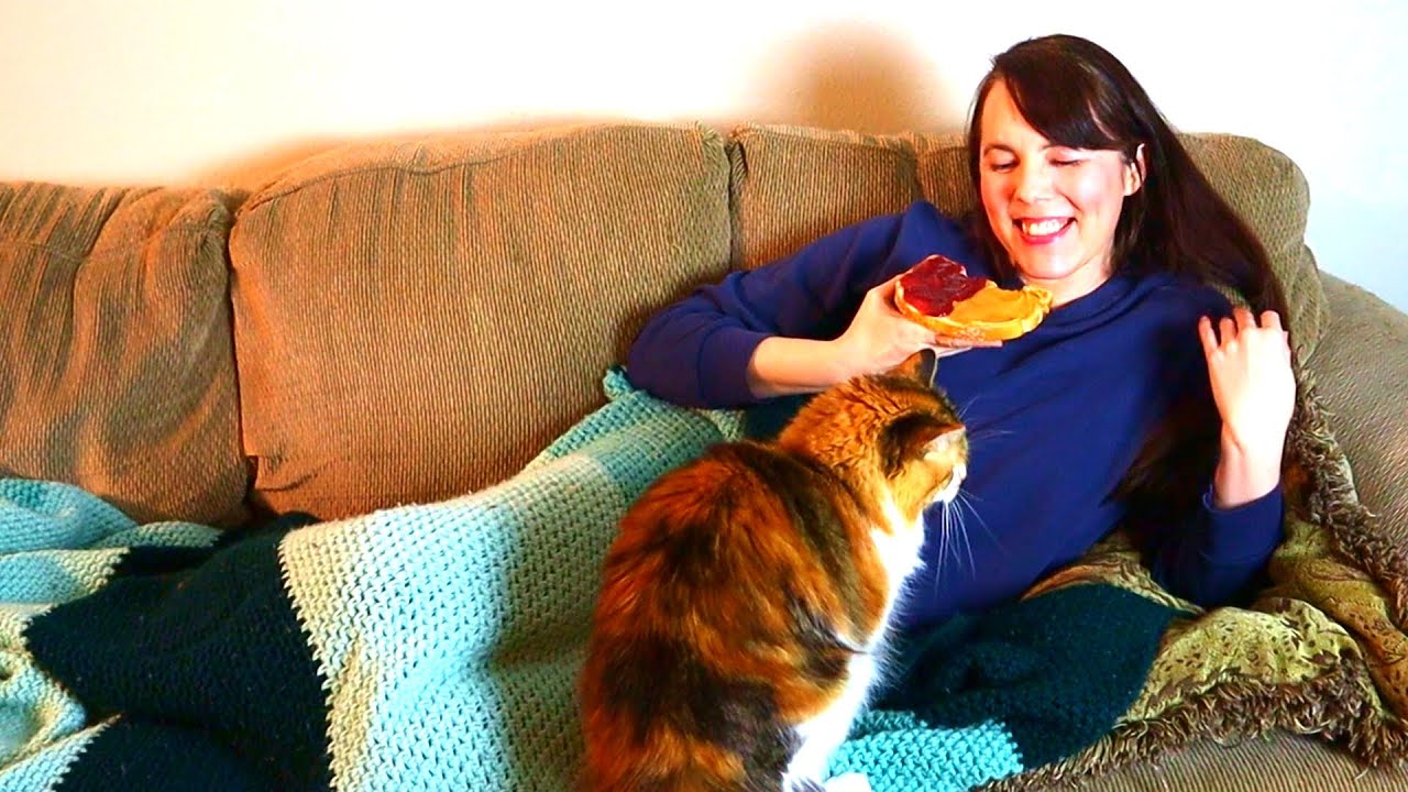 Easy Gentle Cooking (a series for busy, disabled, and beginner cooks